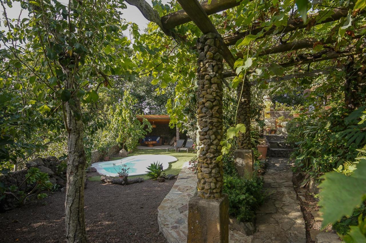 Villa Los Matos Pool And Garden Valleseco Exterior photo